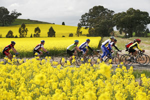 Shepparton Fruit Loop Ride